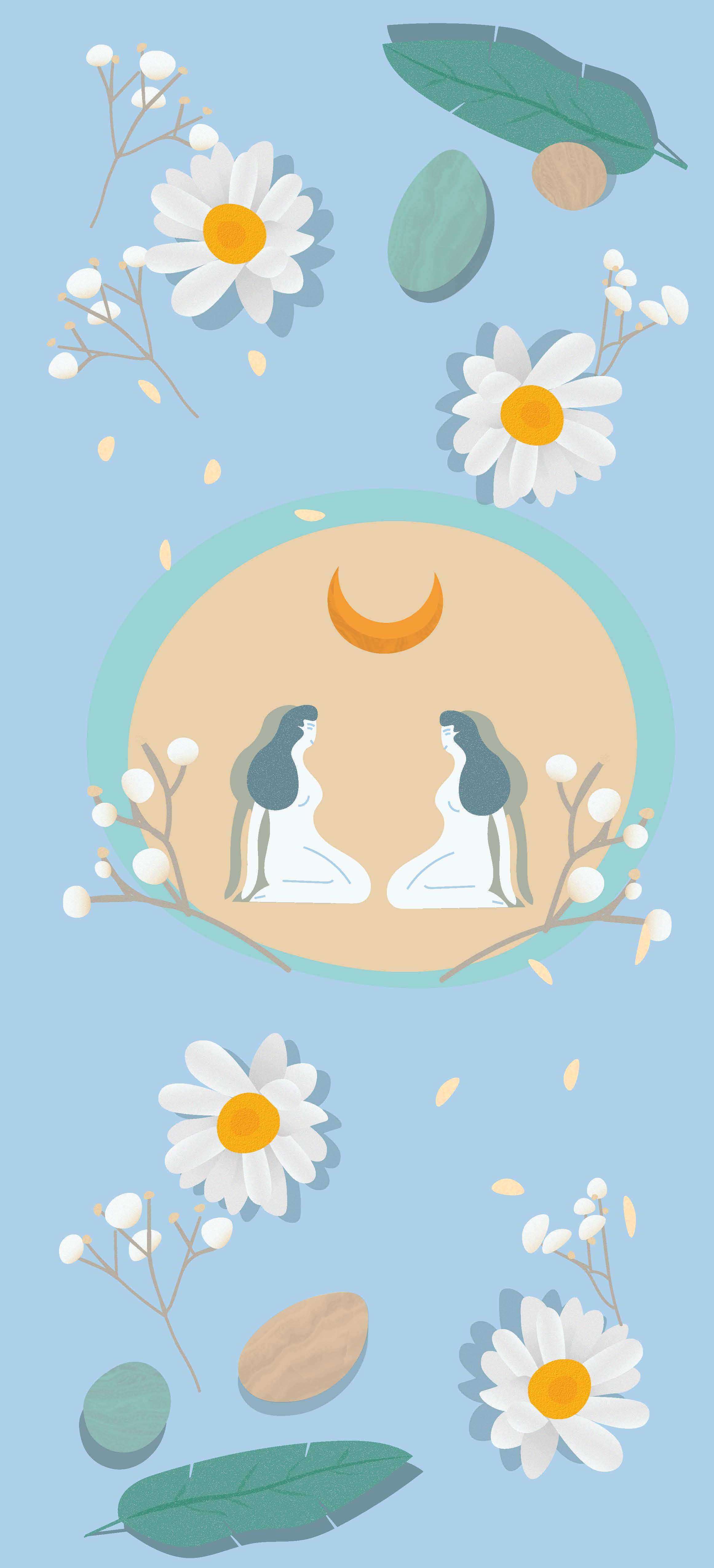 Illustration 1
