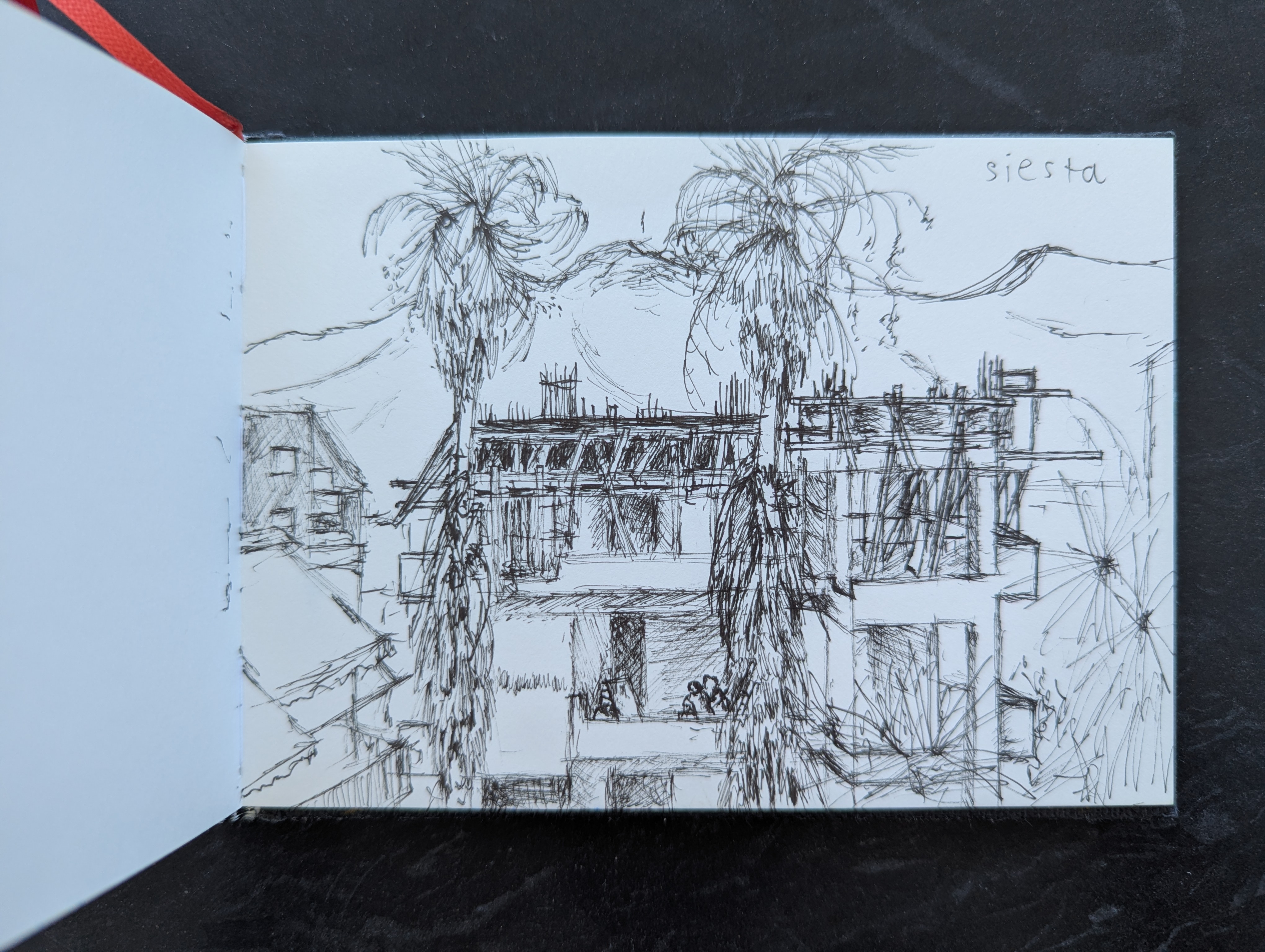 Sketch 6